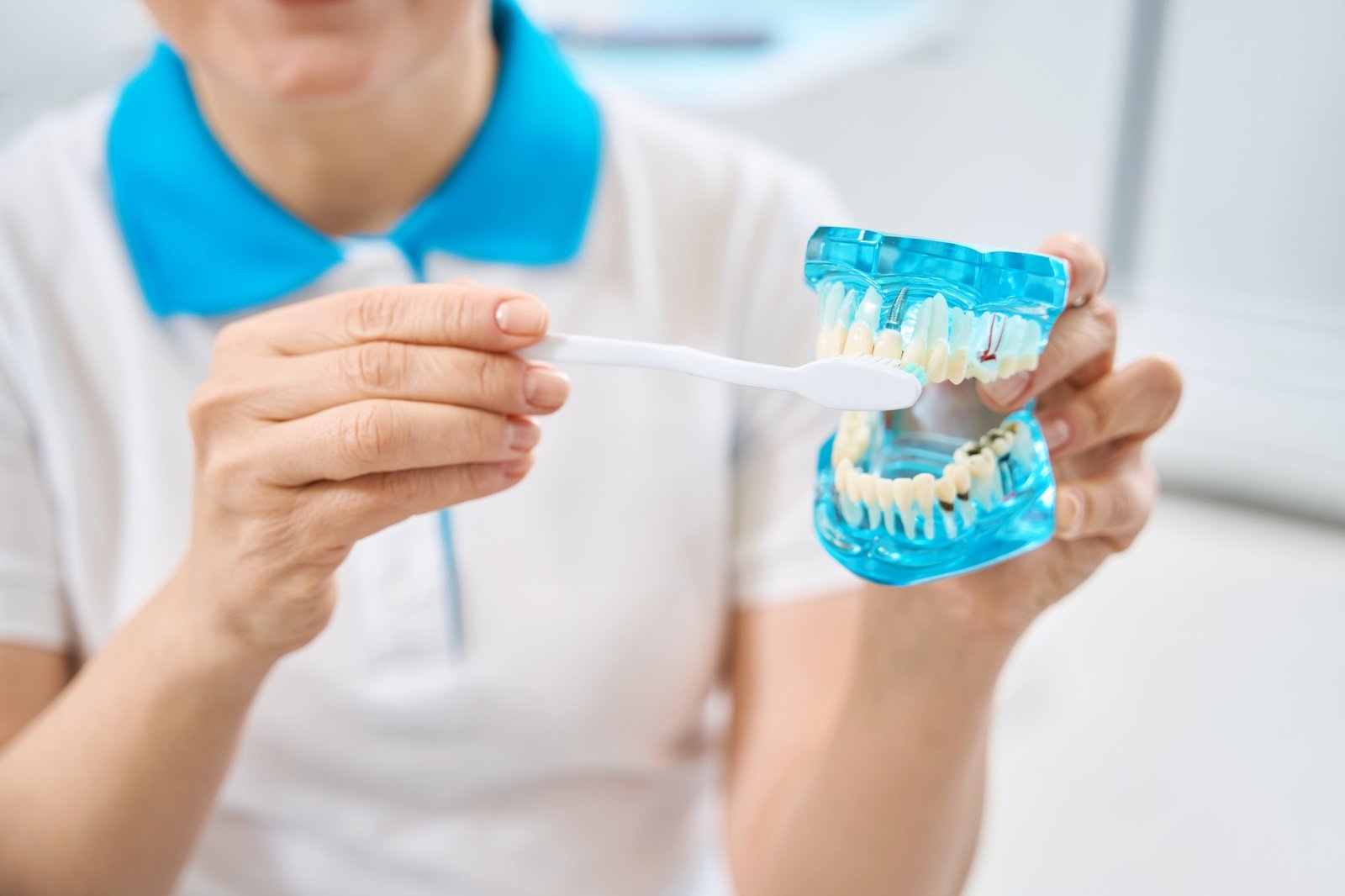 Experienced woman dental hygienist brushing dentures and dental implants